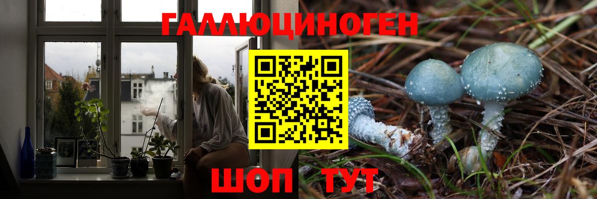 Галлюциногенные грибы Cubensis  Вход с VPN  Бузулук 